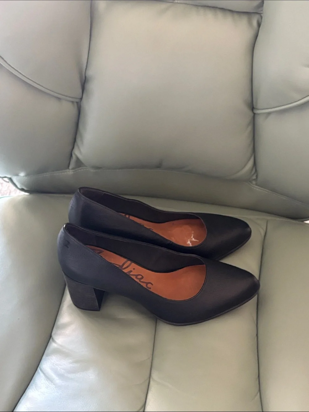 Zodiac Pumps